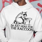 Hammered Dulcimer Hoodies