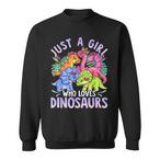 Dinosaur Sweatshirts