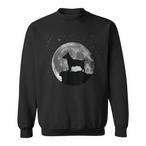 Teddy Roosevelt Terrier Sweatshirts