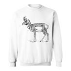 Pronghorn Antelope Sweatshirts
