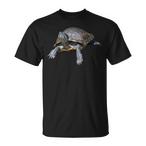 Turtle Shirts