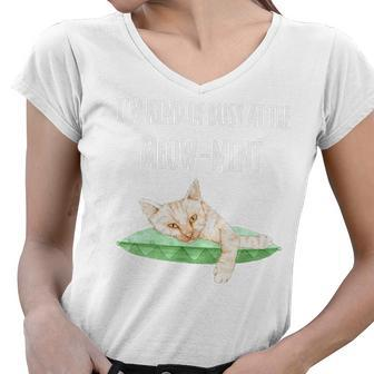 Im Busy At The Meow Ment Lazy Cat Cute Cat Women V-Neck T-Shirt | Mazezy