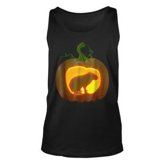 Capybara Halloween Gifts For Capybara Lovers Funny Gifts Unisex Tank Top | Mazezy
