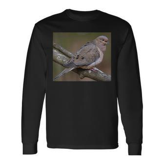 Mourning Dove Perched On A Branch Long Sleeve T-Shirt | Mazezy