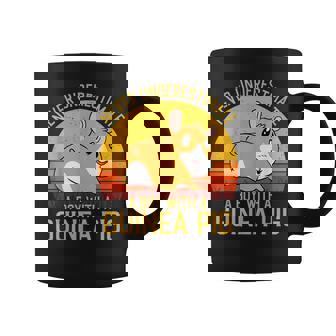 Guinea Pig Never Underestimate A Boy With A Guinea Pig Gifts For Pig Lovers Funny Gifts Coffee Mug | Mazezy