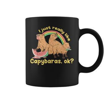 I Just Really Like Capybaras Ok Capybara Lover Funny Coffee Mug | Mazezy
