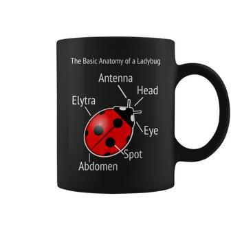 Ladybug Anatomy Teacher Help Coffee Mug | Mazezy