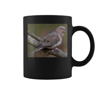 Mourning Dove Perched On A Branch Coffee Mug | Mazezy