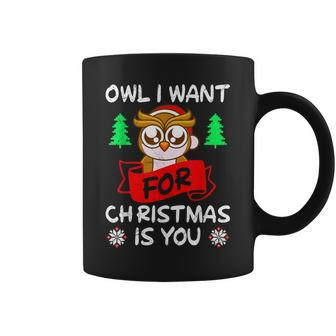 Owl I Want For Christmas Is You Owl Christmas Coffee Mug - Monsterry