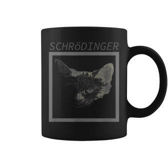 Schrodinger's Cat In A Box Quantum Physics Paradox Coffee Mug | Mazezy
