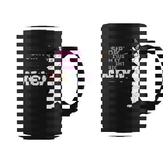 Sorry Im Busy Right Meow Funny Cats Coffee Mug | Mazezy