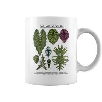 Alocasia Foliage Plants Aroid Lover Anthurium Coffee Mug | Mazezy