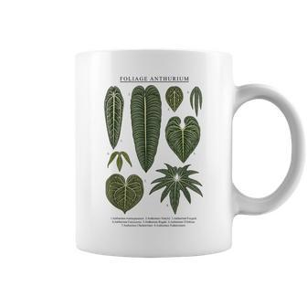 Anthurium Plants Foliage Clarinervium Veitchii Waroqueanum Coffee Mug | Mazezy