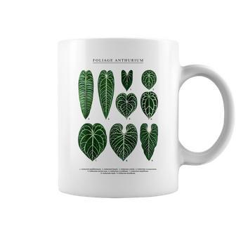 Anthurium Plants Foliage Veitchii Waroqueanum Clarinervium Coffee Mug | Mazezy