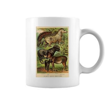 Quagga Zebra Donkey Vintage Colorful Animal Lithograph Coffee Mug | Mazezy