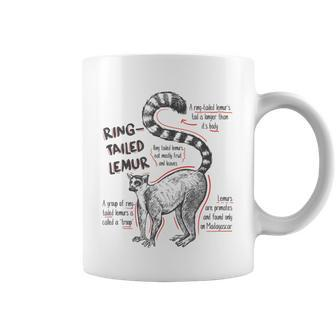 Trendy Ring-Tailed Lemur Facts Coffee Mug | Mazezy