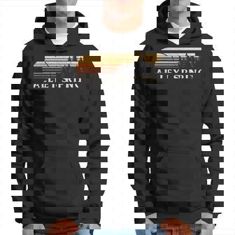 Alley Spring Mo Vintage Evergreen Sunset Eighties Retro Hoodie | Mazezy