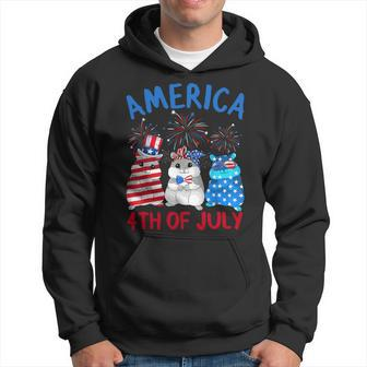 America 4Th Of July Guinea Pig Fireworks Independence Day Hoodie - Monsterry