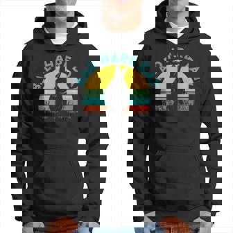 Bad Hare Day Funny Rabbit Pun Hair Hoodie - Monsterry