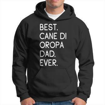 Best Cane Di Oropa Dad Ever Cane Pastore Di Oropa Hoodie | Mazezy