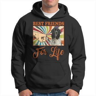 Best Friends For Life Landseer Dog Lover Hoodie | Mazezy