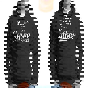 Big Fan Of Synthpop Music Lover Hoodie | Mazezy