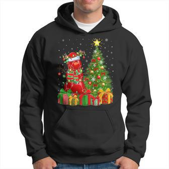 Bocce Ball Snowman Lights Xmas Tree Santa Bocce Christmas Hoodie | Mazezy