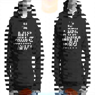 A British Longhair Cat Is My Bff Hoodie | Mazezy