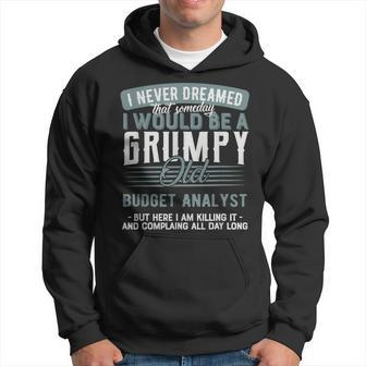 Budget Analyst Grumpy And Old Hoodie | Mazezy