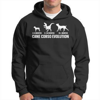 Cane Corso Evolution For A Cane Corso Owner Hoodie - Seseable
