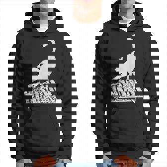 Cat Playing Xylophone Cute Musical Hoodie | Mazezy