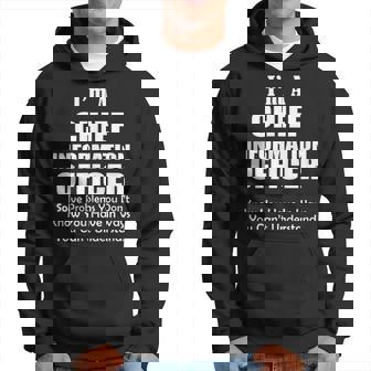 Chief Information Officer Solve Problems Cio Office Hoodie | Mazezy
