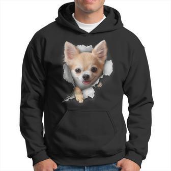 Chihuahua Lover Chihuahua Owner Chihuahua Hoodie - Seseable