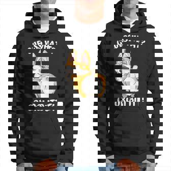 Corgi Dog Lover Pun Guess What Corgi Butt Hoodie | Mazezy