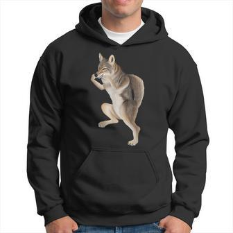 Coyote Playing The Harmonica Hoodie | Mazezy