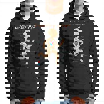 Cute Anatomy The Circulatory System Hoodie | Mazezy