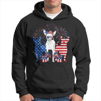 Cute Chihuahua Dogs American Flag Indepedence Day July 4Th  Hoodie