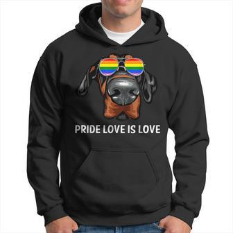 Cute Lgbt Pride Love Is Love Doberman Dog Puppy Hoodie | Mazezy