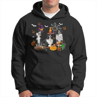 Dog Border Collie Three Border Collie Dogs Mummy Witch Scary Pumpkins Kids Hoodie - Monsterry