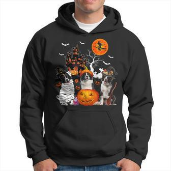 Dog Border Collie Three Border Collies Halloween Mummy Scary Witch Lover Owner Hoodie - Monsterry AU