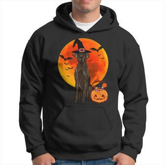 Dog Halloween Black Great Dane Jack O Lantern Pumpkin Hoodie - Monsterry