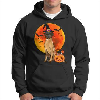 Dog Halloween Brown Great Dane Jack O Lantern Pumpkin Hoodie - Monsterry UK