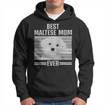 Dog Maltese Cool Maltese Mom For Women Girls Dog Groomer Dog Lover Owner 3 Hoodie - Monsterry CA