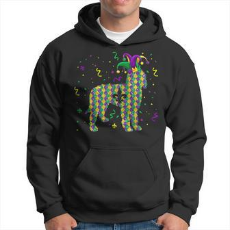 Dog Mardi Gras Outfit Goldendoodle Lover Men Women Kids Hoodie - Monsterry