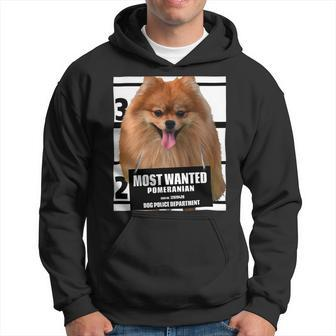 Dog Pomeranian Most Wanted Pomeranian Cute Funny Dog Tee Shirts C Hoodie - Monsterry CA