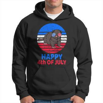 Ferret 4Th Of July For Ferret Lover Retro July 4Th Hoodie - Monsterry UK