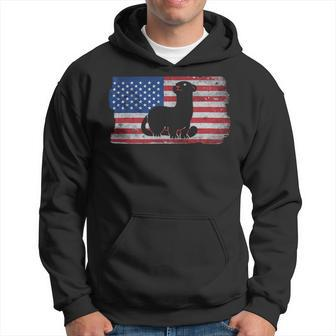 Ferret With The Usa Flag United States Of America Retro Hoodie - Monsterry UK