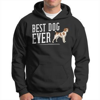 French Brittany Spaniel Puppies Owner Lover Hoodie | Mazezy