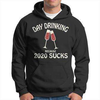 Fun Party Alcohol Because 2020 Sucks Outfit Hoodie | Mazezy