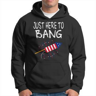 Funny 4Th Of July Fireworks Just Here To Bang American Flag 1 Hoodie - Monsterry UK